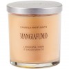 Candela vegetale mangiafumo con coperchio alluminio-liquirizia,fiori, cacao dolce 150ml CERERIA LUMEN