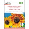 Girasole ramificato 2,5g SATIVA