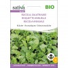 Rucola annuale 2,5g SATIVA