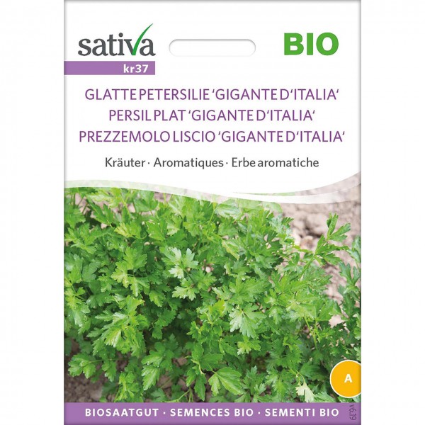 Prezzemolo gigante d'italia 2,5g SATIVA