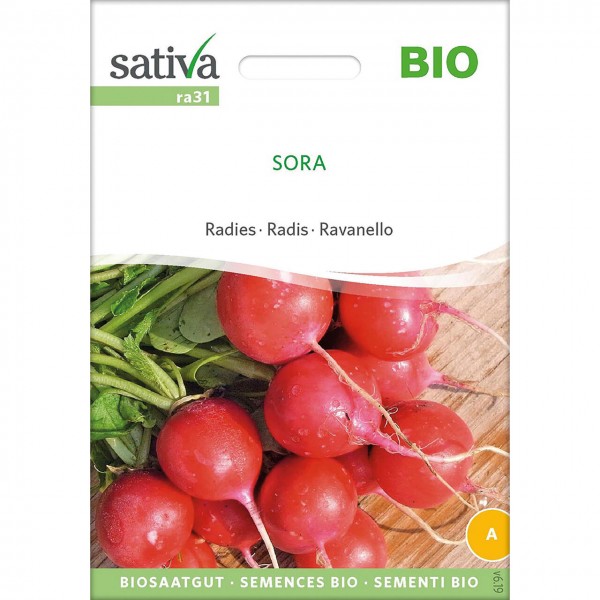 Ravanello sora 5g SATIVA