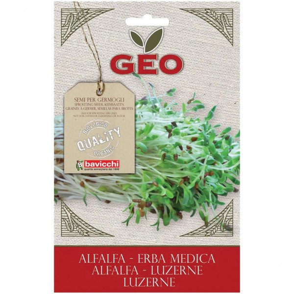 Semi di erba medica da germogliare 30g GEO