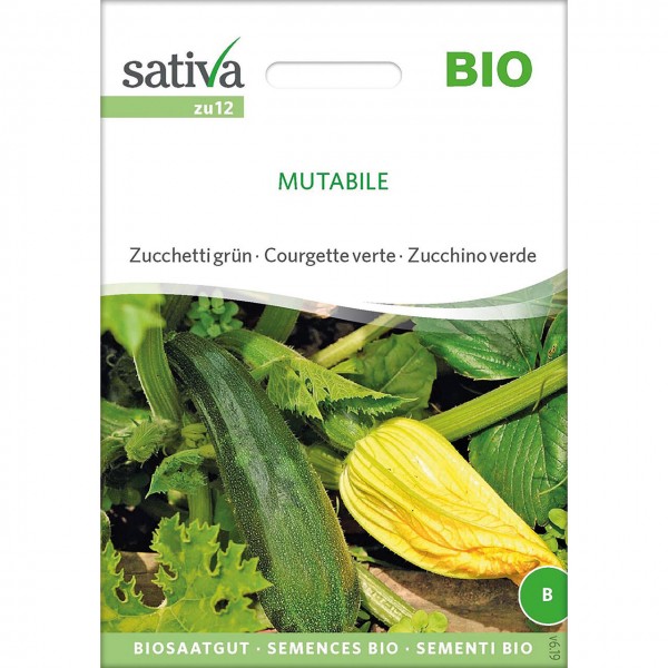Zucchina mutabile 6g SATIVA