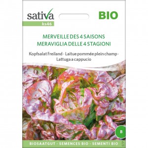 Lattuga cappuccio 4 stagioni 0,75g SATIVA