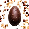 Uovo di cioccolato con granella di nocciole