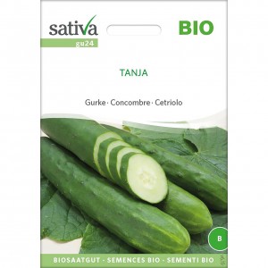 Cetriolo tanja 3g SATIVA