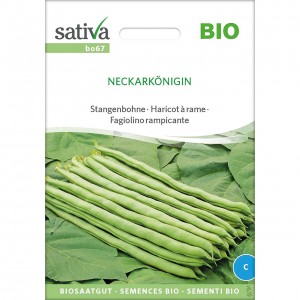 Fagiolino rampicante - neckarkonigin 50g SATIVA