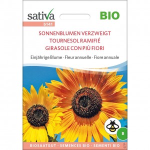 Girasole ramificato 2,5g SATIVA