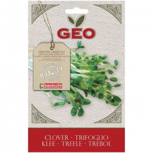 Semi di trifoglio da germogliare GEO
